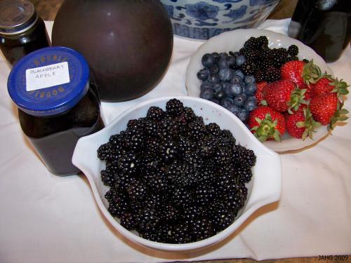 A few minutes of picking Armenian Blackberries will produce enough for a delicious dessert.