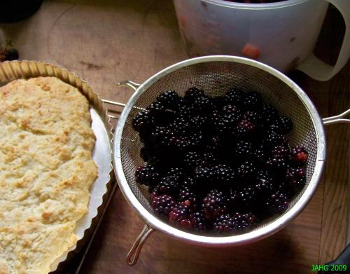 Freshly washed Blackberries waiting to made into Blackberry Shortcake.