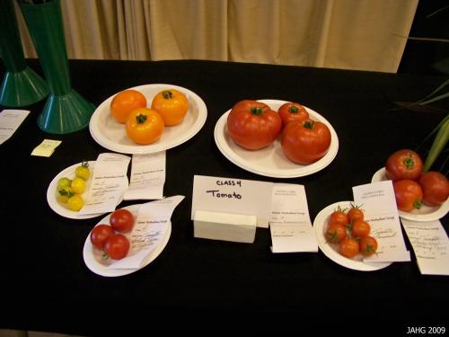 A few of the many varieties available today, from large fleshy beefsteaks to the tiny berry forms.