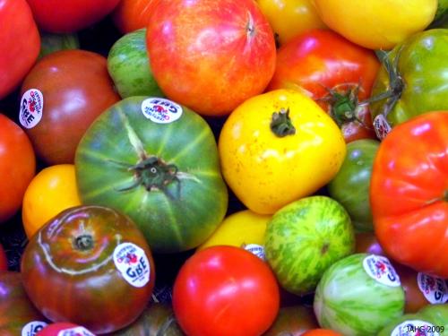 The many forms of heritage Tomatoes now available again for all to enjoy.